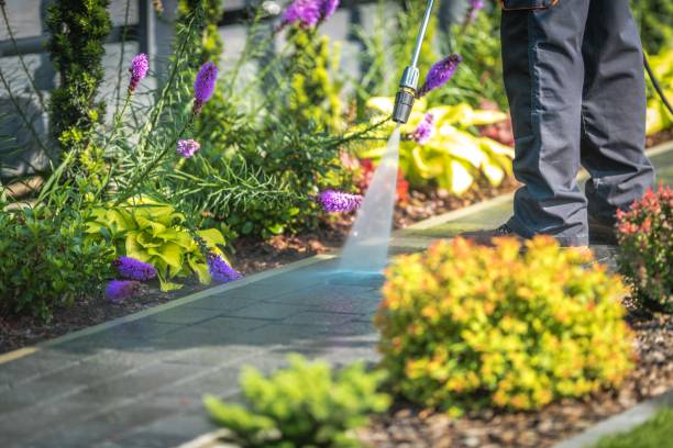 Best House Exterior Washing  in Slinger, WI